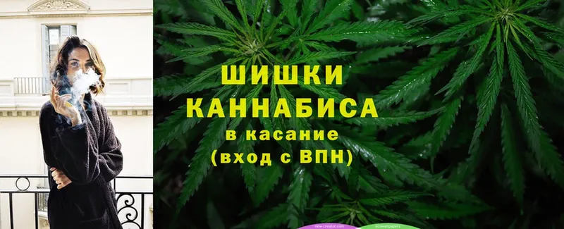 кракен ТОР  где купить наркоту  Павловский Посад  Бошки Шишки конопля 